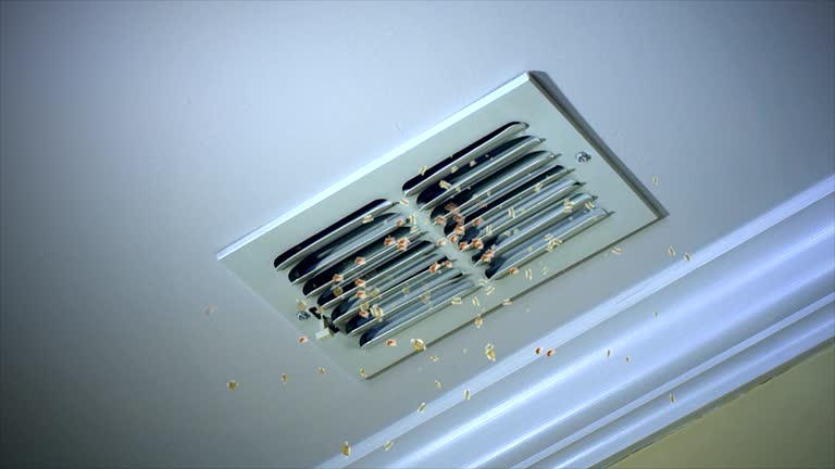 Best HVAC Air Duct Cleaning  in Tyro, NC